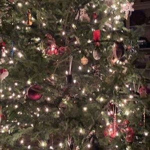 Meet your Posher, Ramona